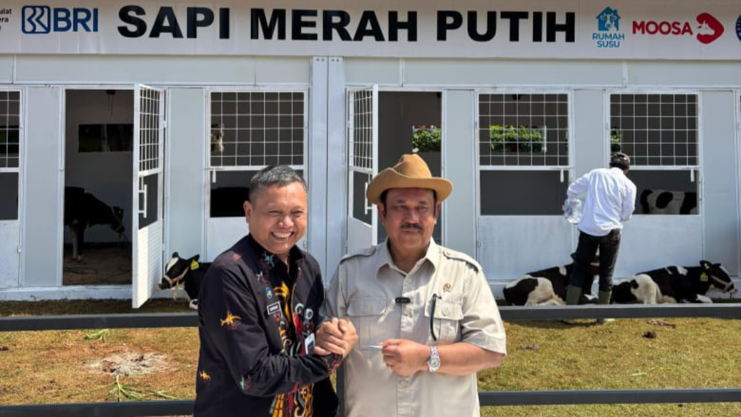 picture-Sapi Merah Putih Diluncurkan, Pemerintah Dorong Program MBG dan Swasembada Pangan
